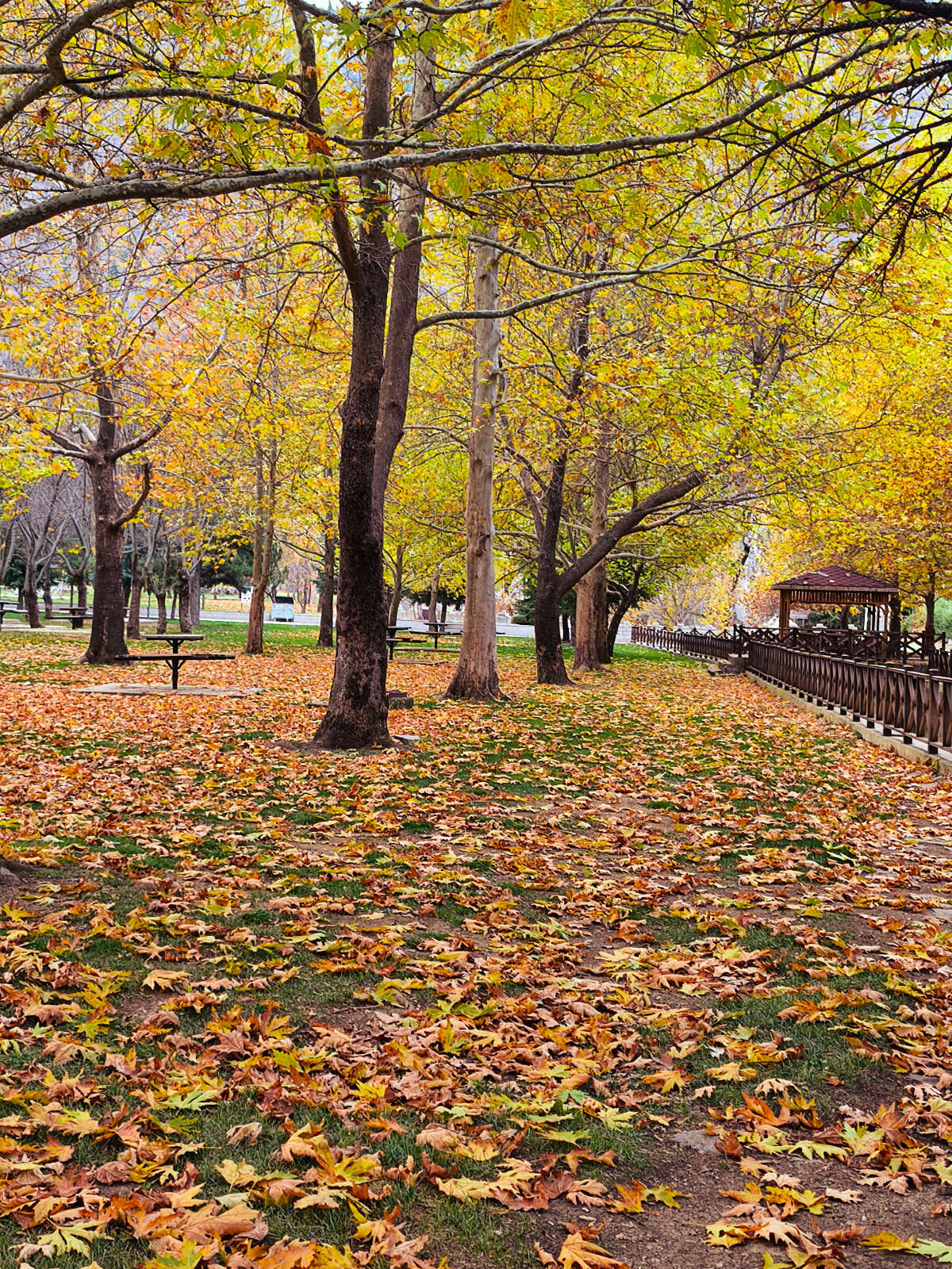 Konya’nın cennet köşesi sonbahar renkleriyle büyülüyor 25